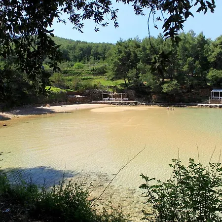 بيت ضيافة And With Parking Space Jelsa, Hvar - 4640 3*